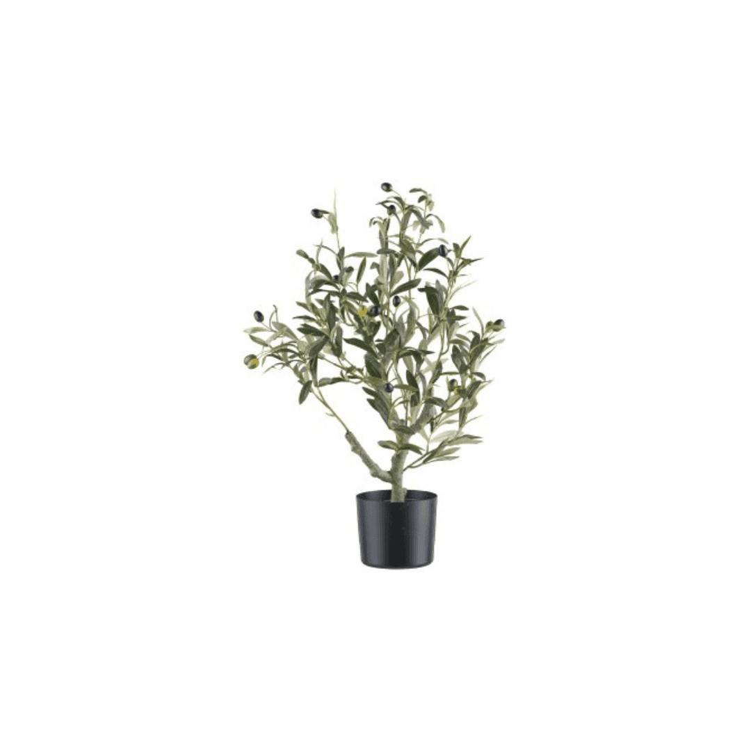 Immagine principale di Olivo Artificiale 70 cm con Vaso in Plastica 15x13cm | Gasper since 1965