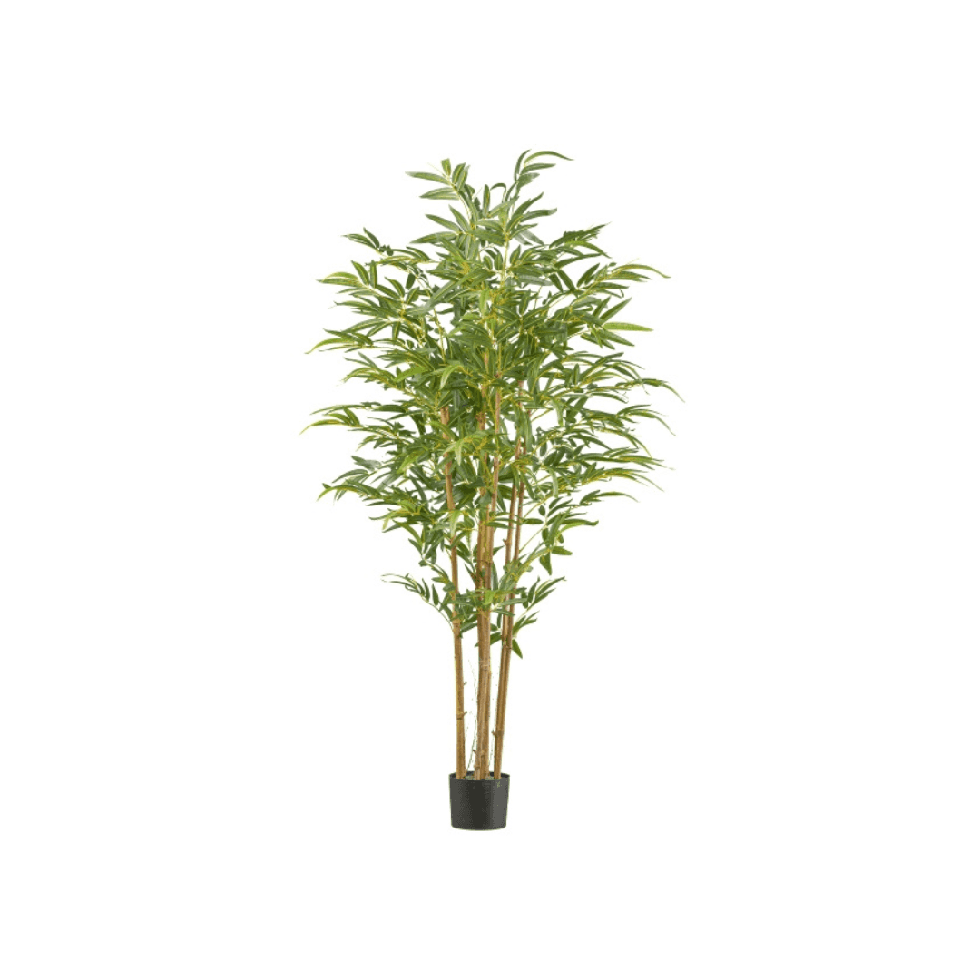 Immagine principale di Bamboo 180cm con Vaso in Plastica 18x15cm | Gasper since 1965