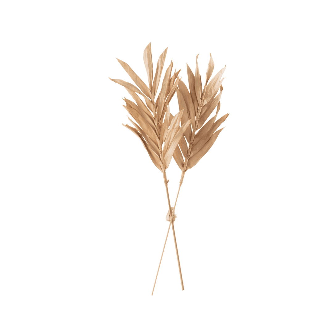 Immagine principale di Set 2 Foglie Secche Naturali 11,5x2,5x41 cm | Jolipa