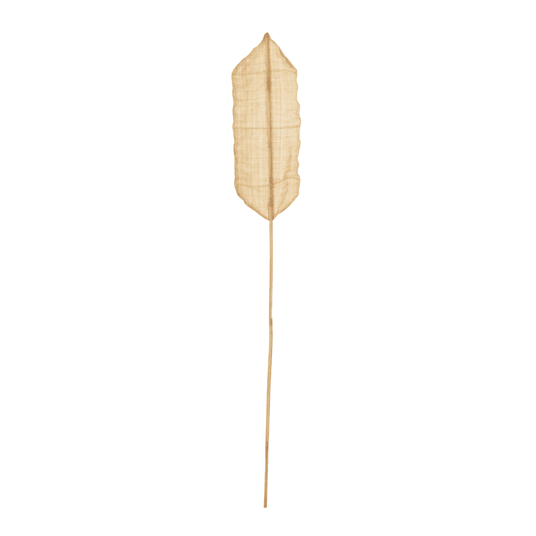 Immagine principale di Foglia Decorativa Palma Naturale 20x5x200 cm | Jolipa