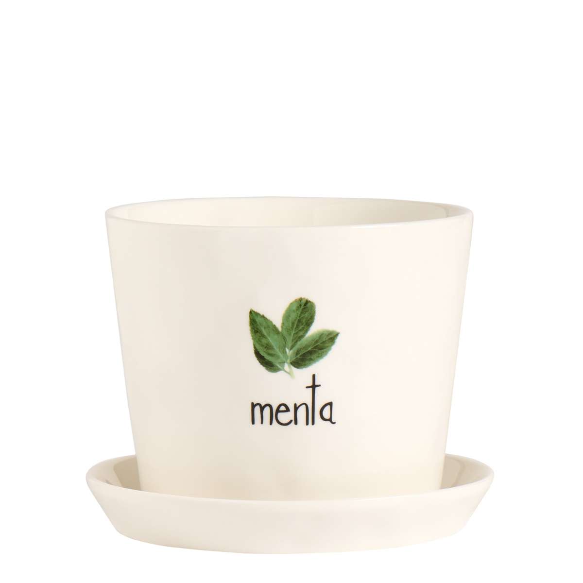 Immagine del prodotto Vaso Menta con Sottovaso | Simple Day