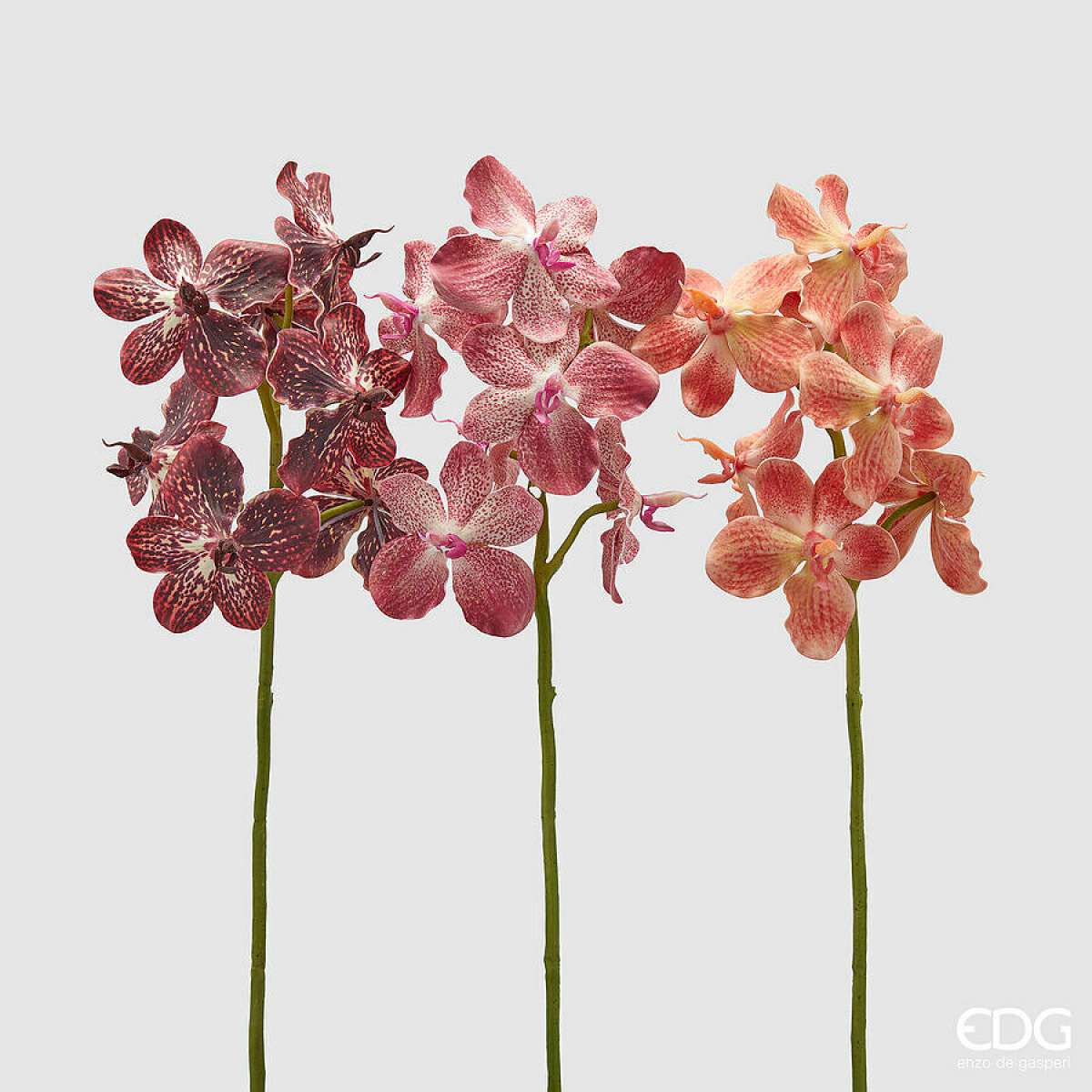 Immagine del prodotto Ramo Orchidea Vanda AUTUNNALE artificiale h 70 cm - 3 Colori | EDG Enzo De Gasperi