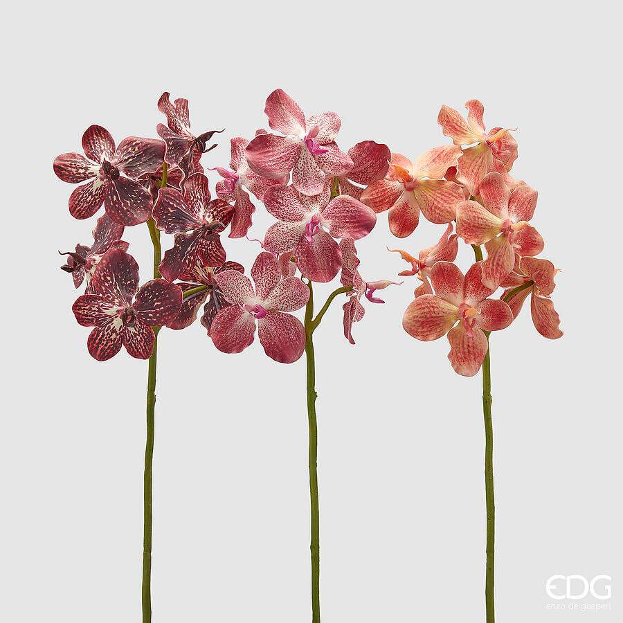 Immagine principale di Ramo Orchidea Vanda AUTUNNALE artificiale h 70 cm - 3 Colori | EDG Enzo De Gasperi