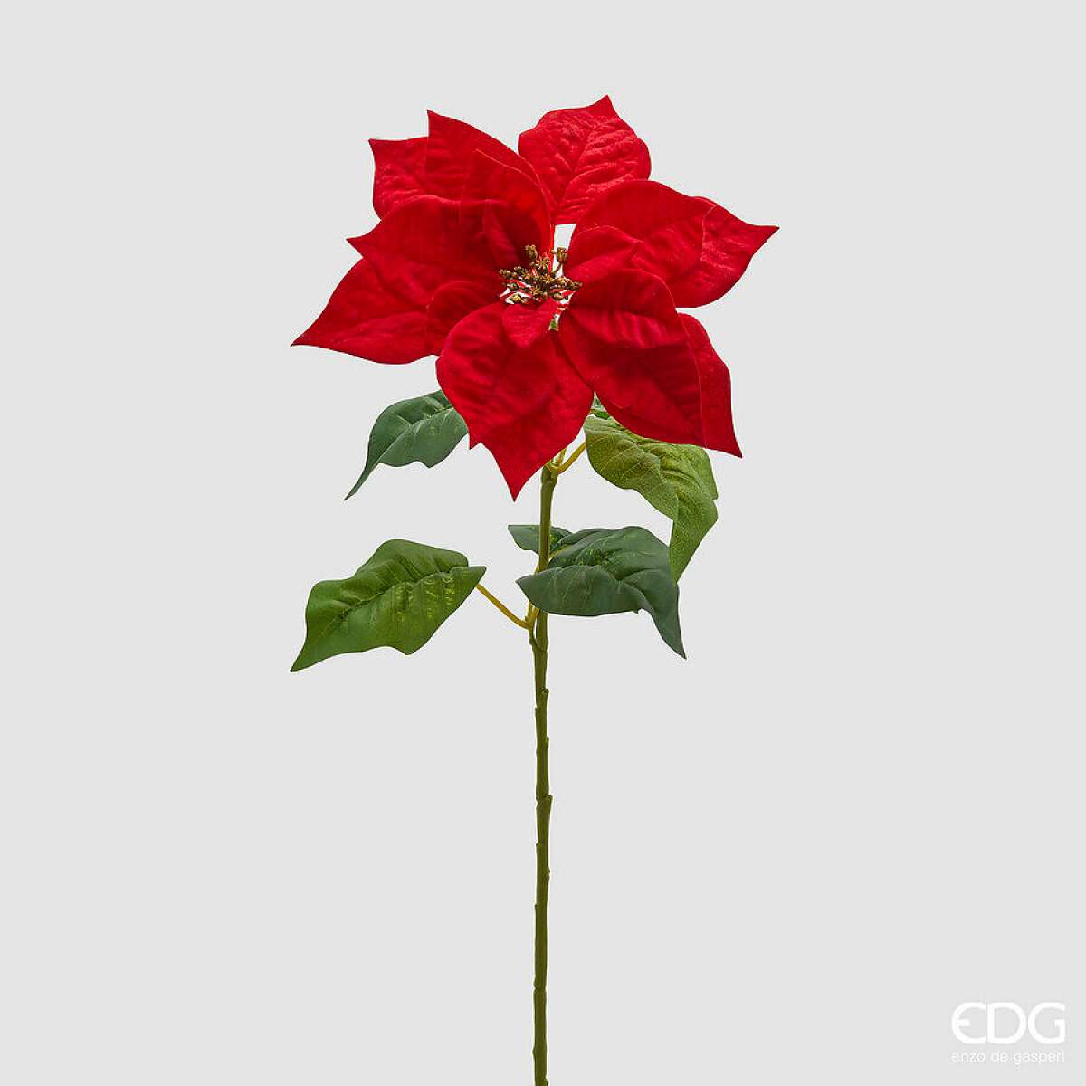Immagine del prodotto Stella di Natale Ramo h 70 cm | EDG Enzo De Gasperi