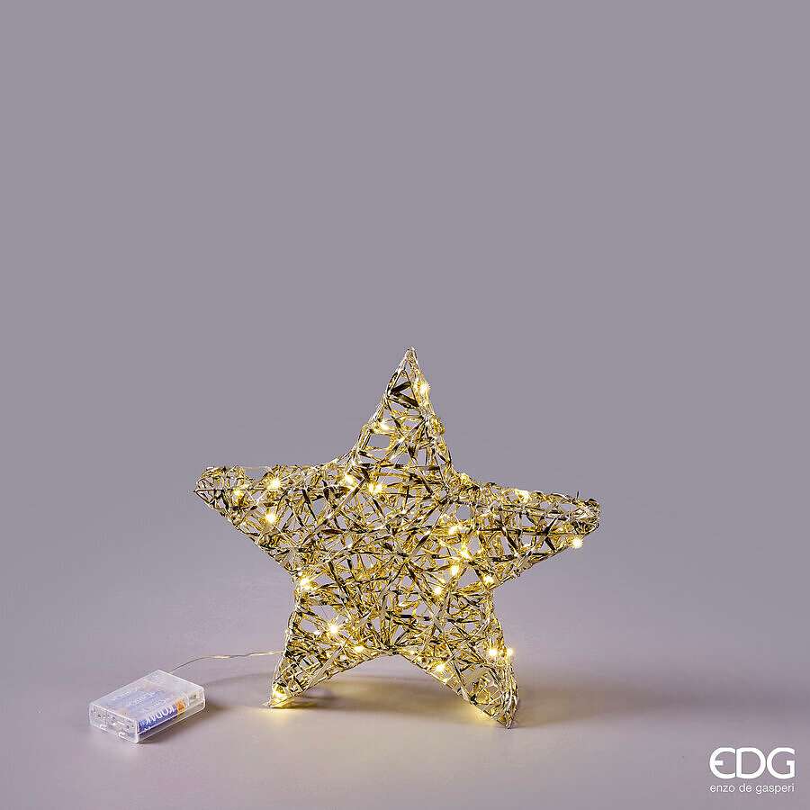 Immagine principale di Decorazione Stella Led - 2 Misure | EDG Enzo De Gasperi