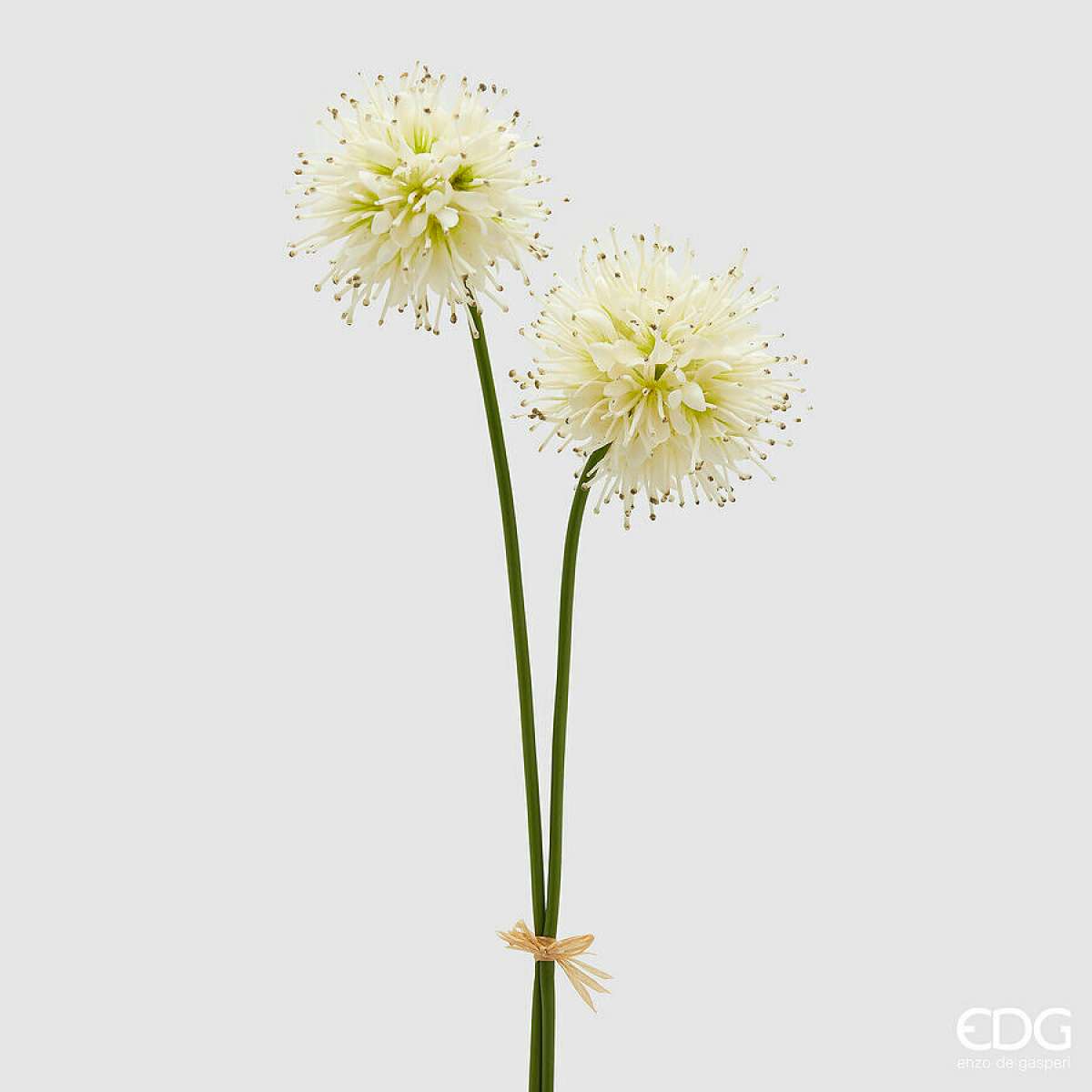 Immagine del prodotto Succisa Artificiale h 60 cm - 4 Colori | EDG Enzo De Gasperi