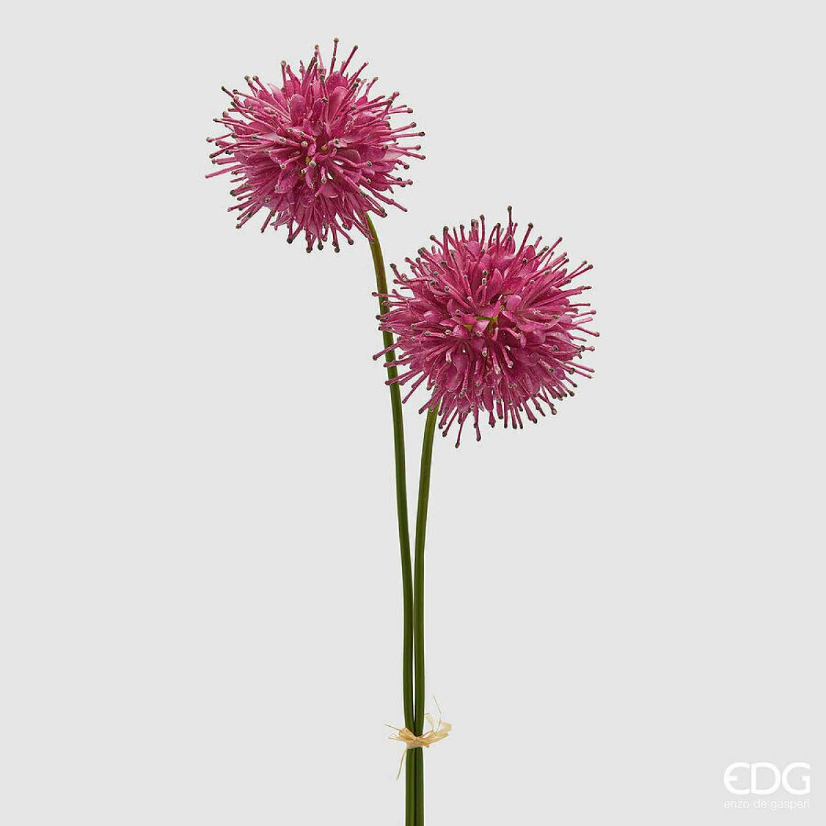 Immagine del prodotto Succisa Artificiale h 60 cm - 4 Colori | EDG Enzo De Gasperi