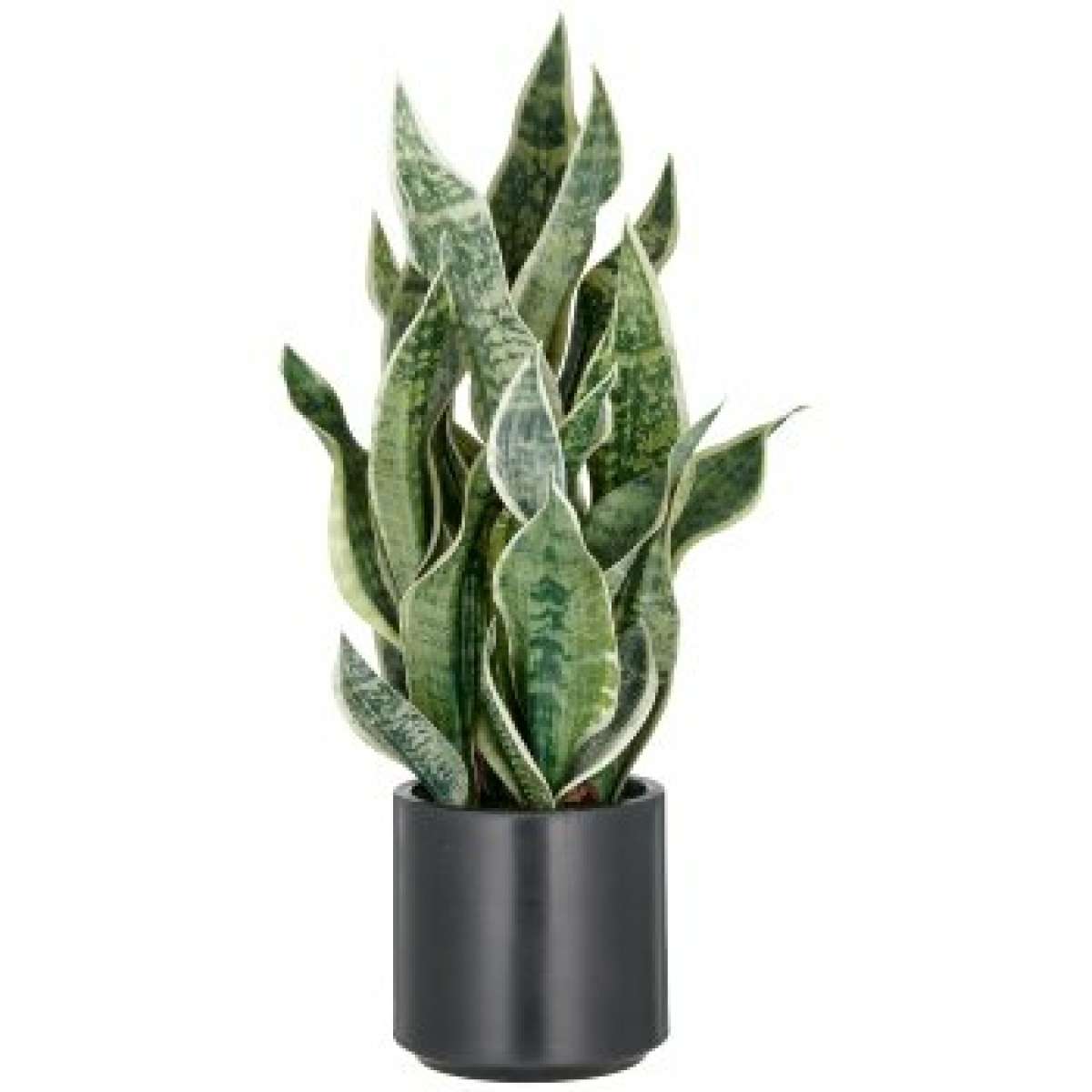 Immagine del prodotto Sanseveria Green Honey Artificiale con Vaso H 66cm | Gasper since 1965