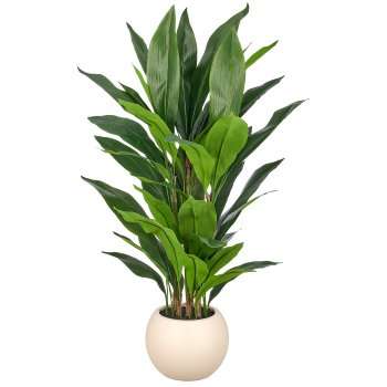 Immagine principale di Aspidistra Elatior Artificiale con Vaso H 115 cm | Gasper since 1965