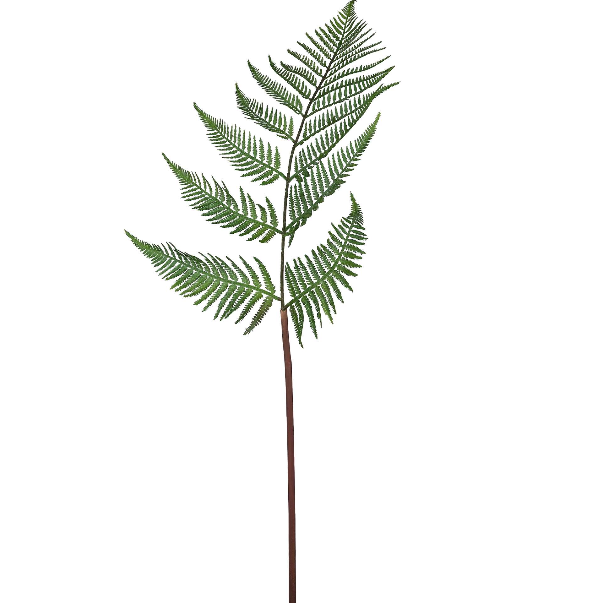 Immagine principale di Ramo Decorativo Felce Artificiale h80 cm | Gasper since 1965
