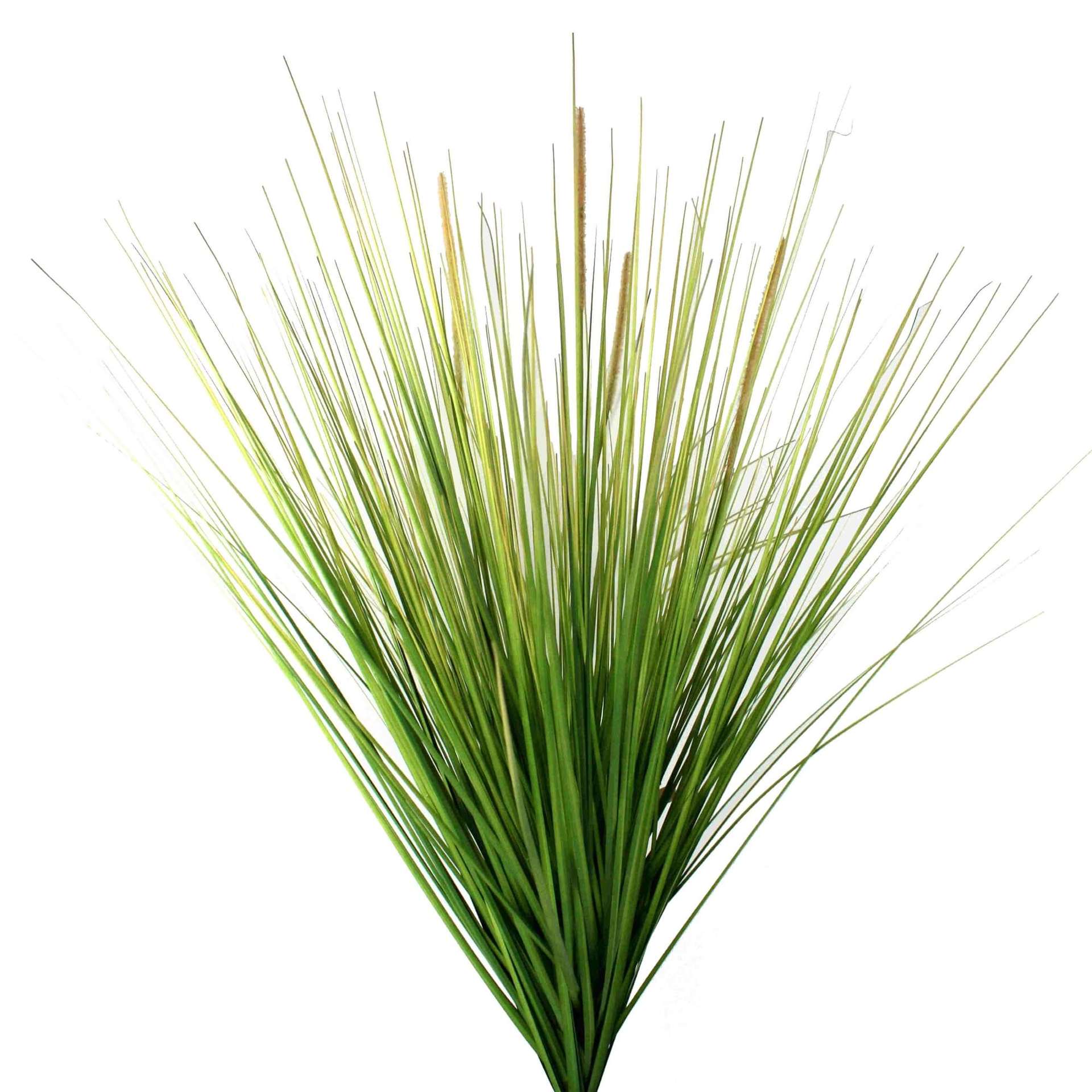Immagine principale di Tralcio Erba Decorativo Artificiale h 76cm | Gasper since 1965
