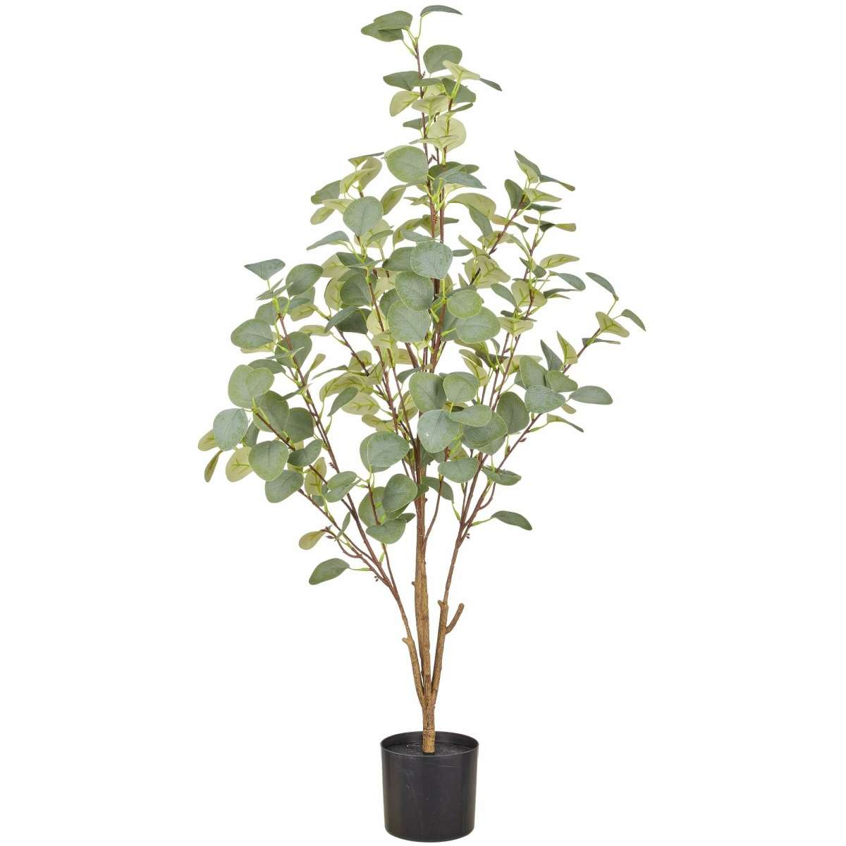Immagine del prodotto Pianta di Eucalipto Artificiale con Vaso H 100cm | Gasper since 1965