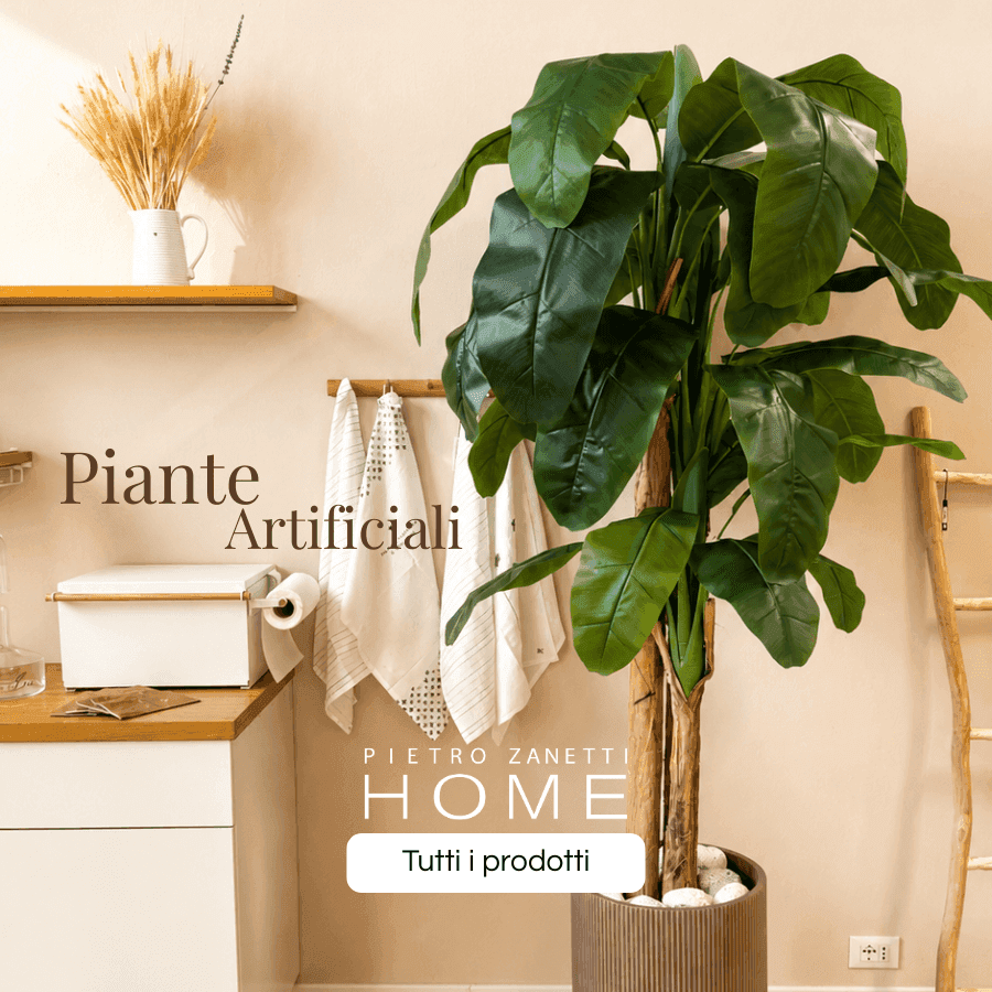 Immagine della promozione Pietro Zanetti Home
