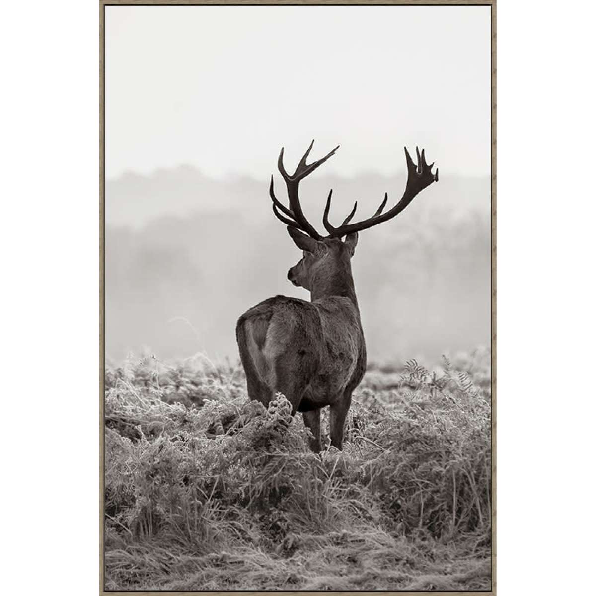 Immagine del prodotto Quadro "Cervo" 77.6x4.3x117.6 cm | Dijk Natural Collections