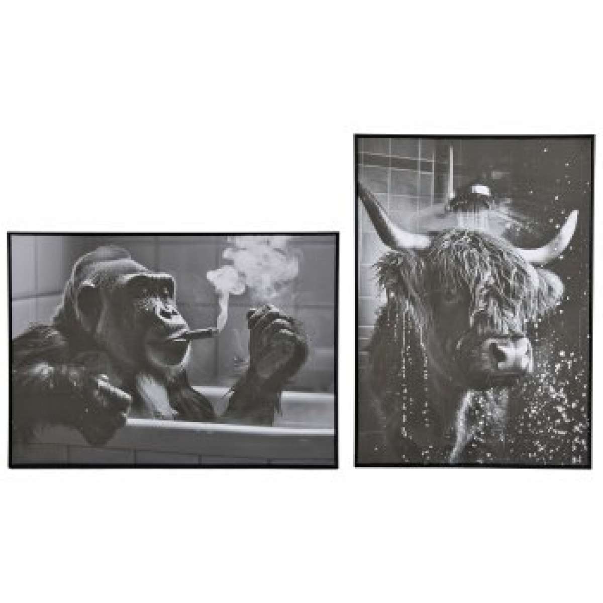Immagine del prodotto Quadro Funky Animal con Cornice 50x70x3 cm - 2 Varianti | Gasper since 1965