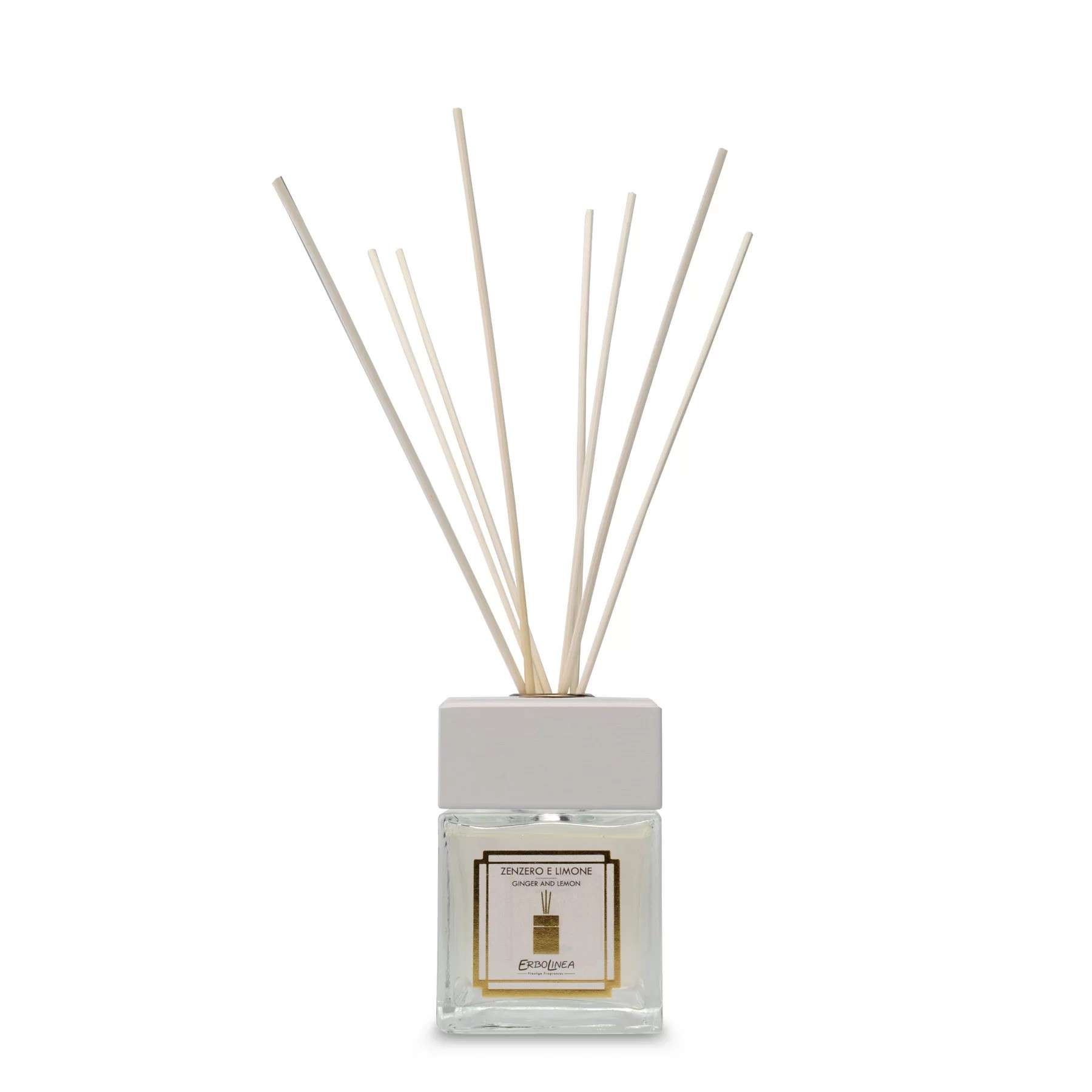 Immagine principale di Profumo per Ambiente con Bastoncini Zenzero e Limone | Erbolinea