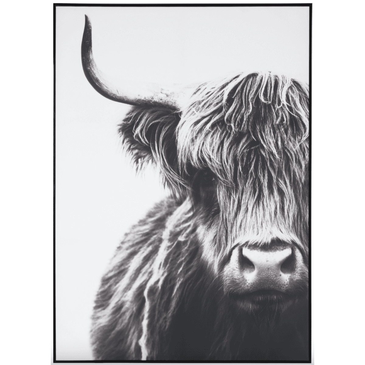 Immagine del prodotto Quadro Yak in Tela con Cornice 103x143 cm | A. House