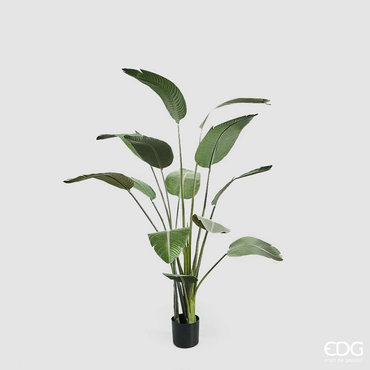 Immagine del prodotto Strelitzia Chic artificiale con Vaso h180 cm | EDG Enzo De Gasperi