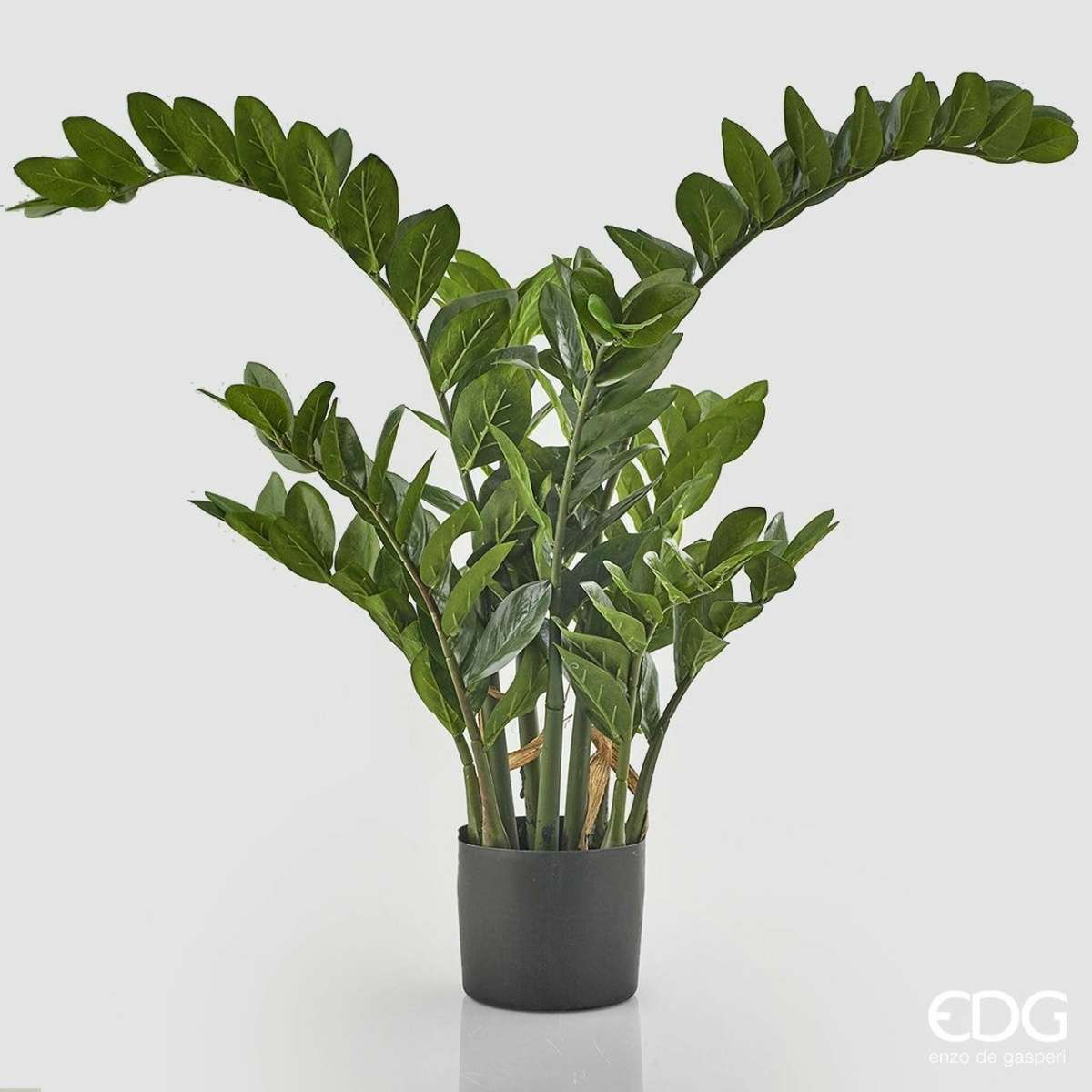 Immagine del prodotto Zamifolia artificiale con Vaso h130 cm | EDG Enzo De Gasperi