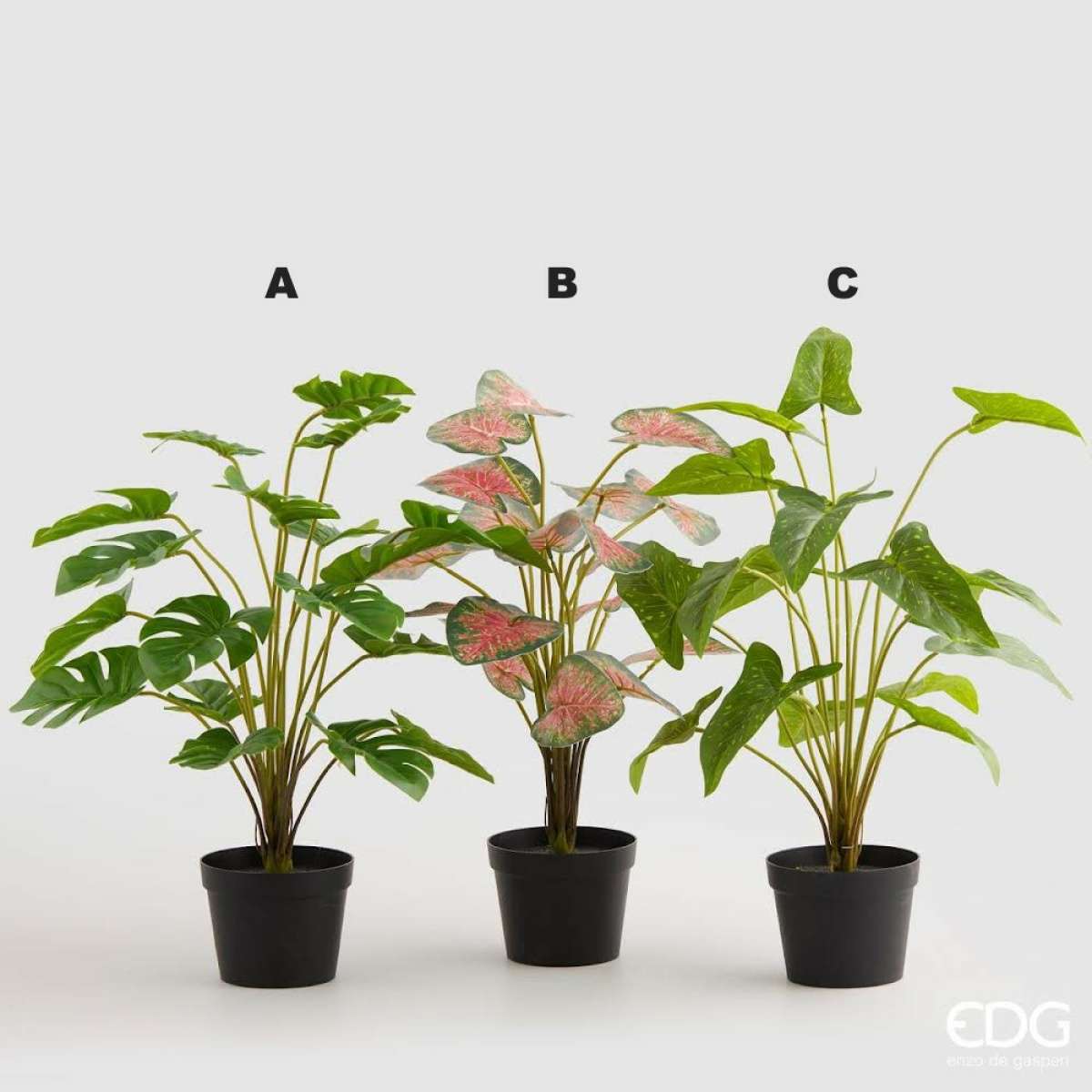 Immagine del prodotto Piante artificiali con vaso Filodendro/Caladium/Calla 52cm | EDG Enzo De Gasperi
