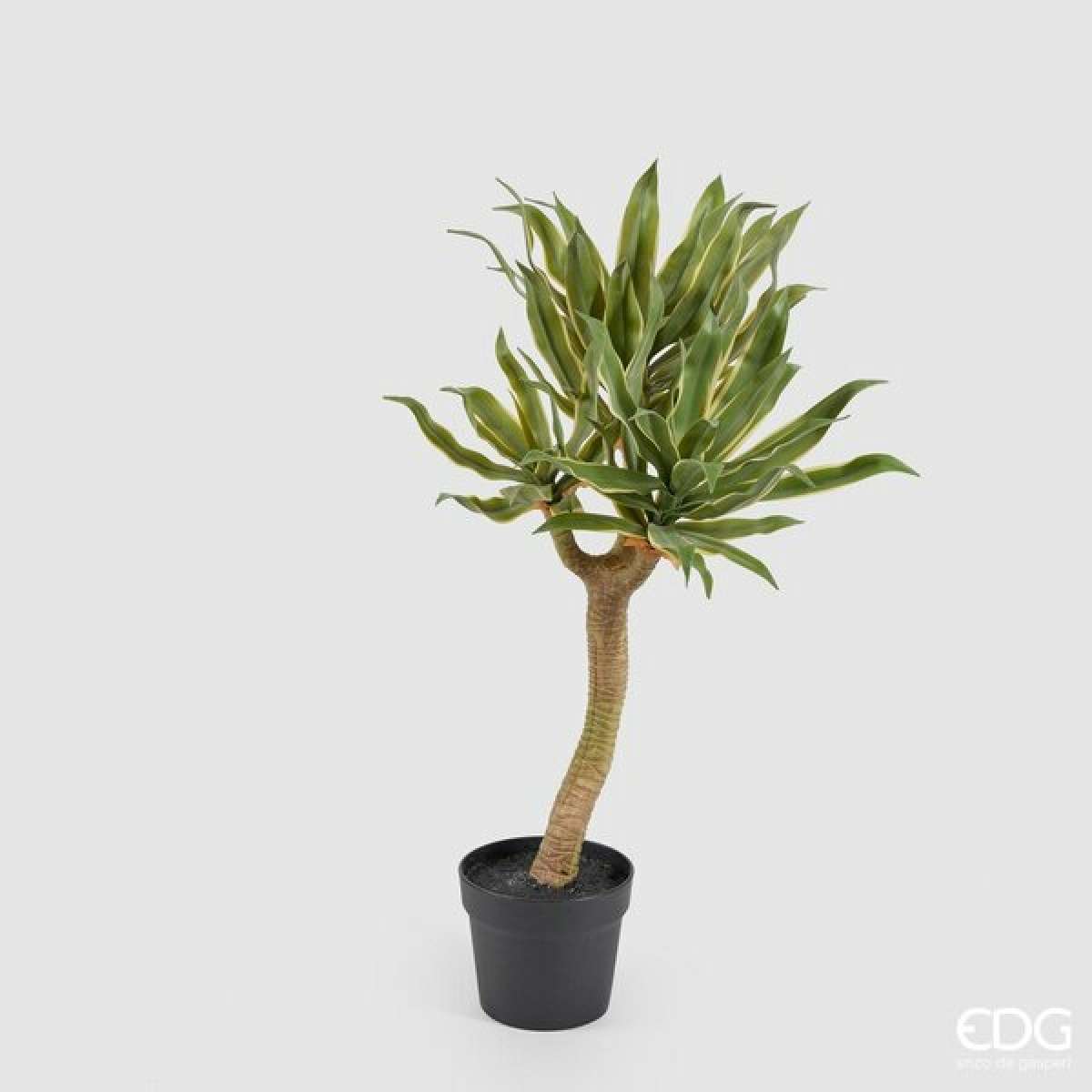Agave Chic con Vaso h 70 cm | EDG Enzo De Gasperi Immagine del prodotto Agave Chic con Vaso h 70 cm | EDG Enzo De Gasperi