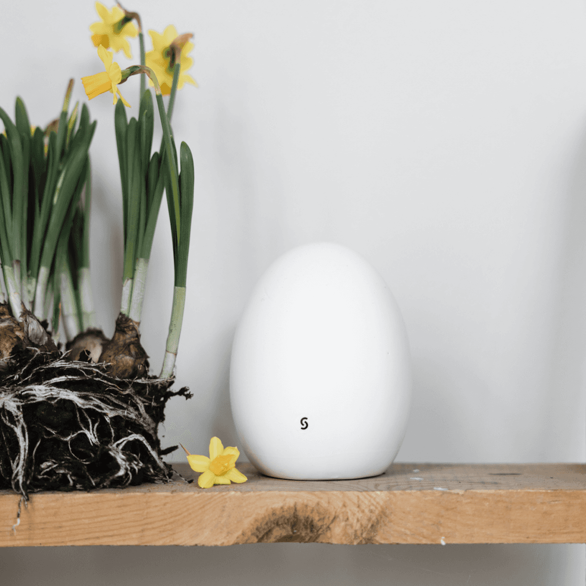 Uovo Pasquale Bjuv in Ceramica Opaca Bianca - 2 misure | Storefactory Immagine del prodotto Uovo Pasquale Bjuv in Ceramica Opaca Bianca - 2 misure | Storefactory