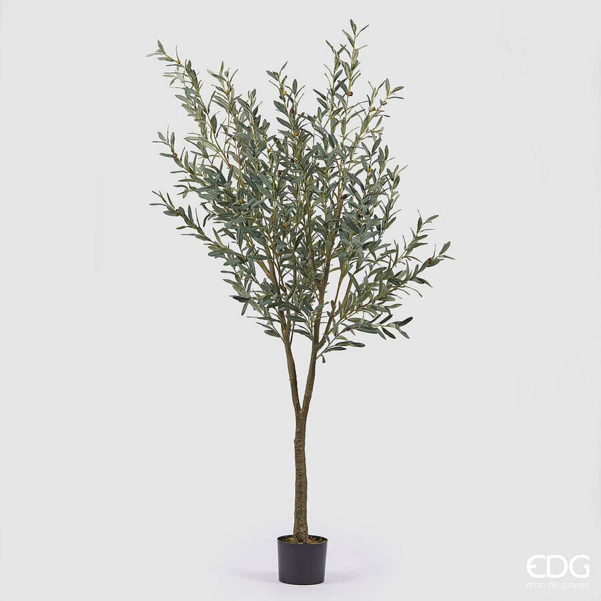 Olivo Artificiale con vaso - 2 Misure | EDG Enzo De Gasperi Immagine del prodotto Olivo Artificiale con vaso - 2 Misure | EDG Enzo De Gasperi