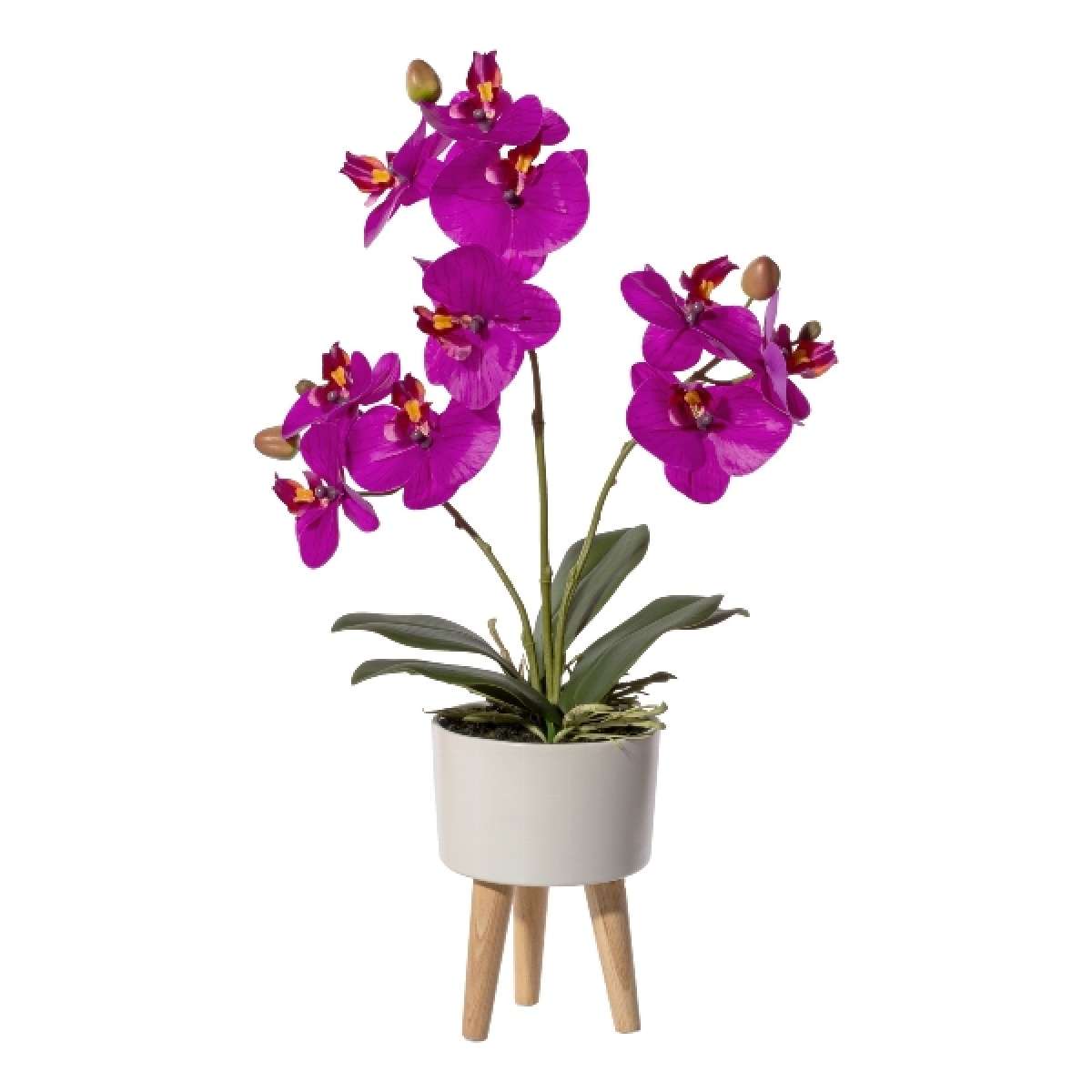 Immagine del prodotto Orchidea Phalaenopsis Viola 42cm Real Touch, in Vaso di Ceramica 10x6,5cm | Gasper since 1965