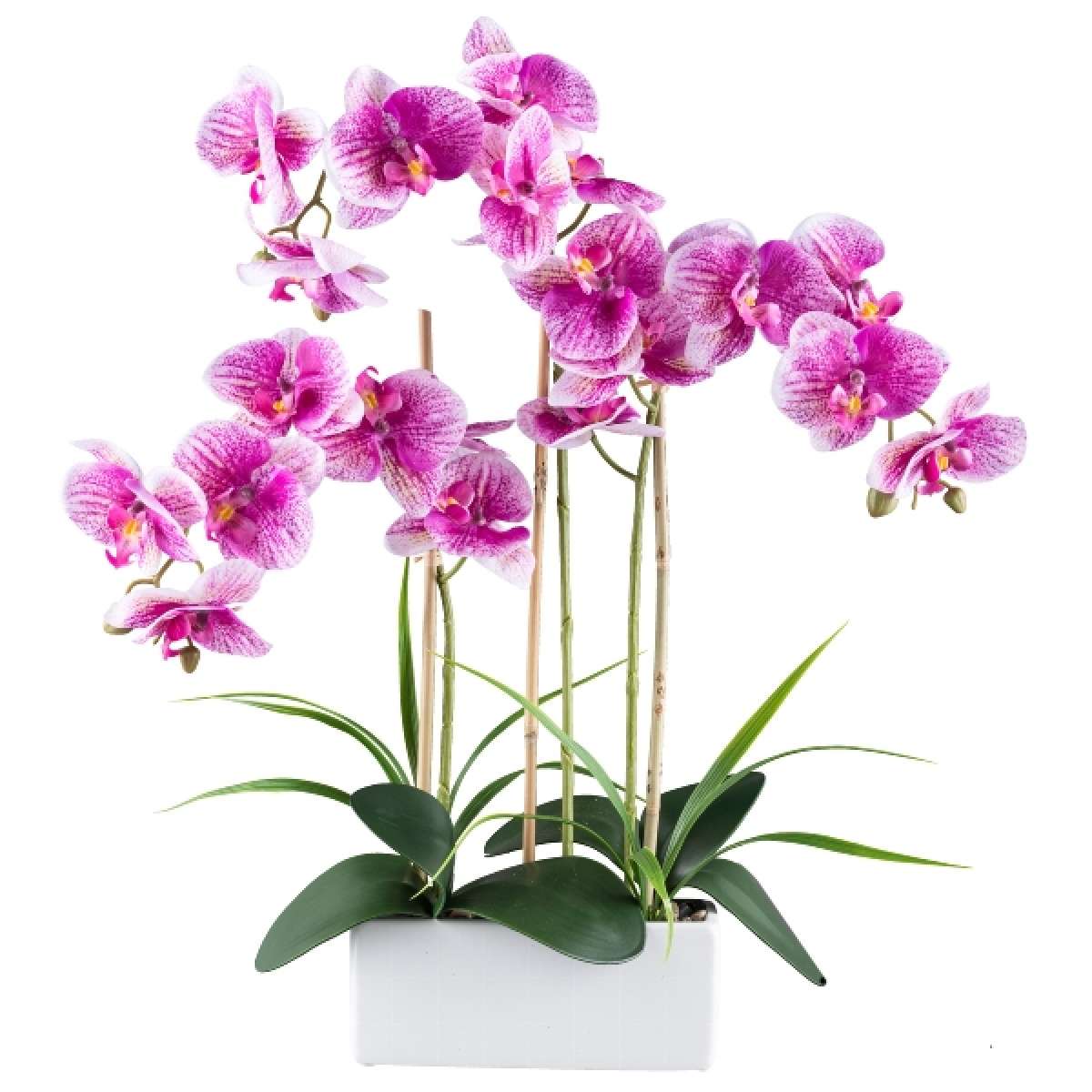 Immagine del prodotto Orchidea Phalaenopsis Viola 58cm Real Touch, in Vaso di Ceramica Bianco 20,5x8x8,5cm | Gasper since 1965