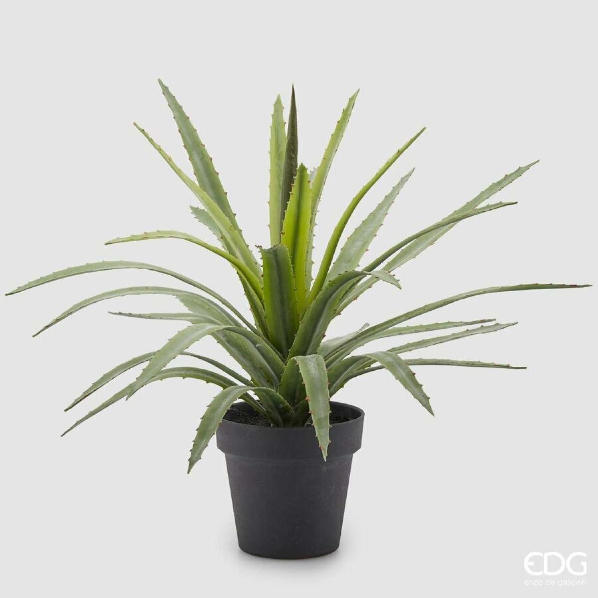 Agave Chic con Vaso h 45 cm | EDG Enzo De Gasperi Immagine del prodotto Agave Chic con Vaso h 45 cm | EDG Enzo De Gasperi