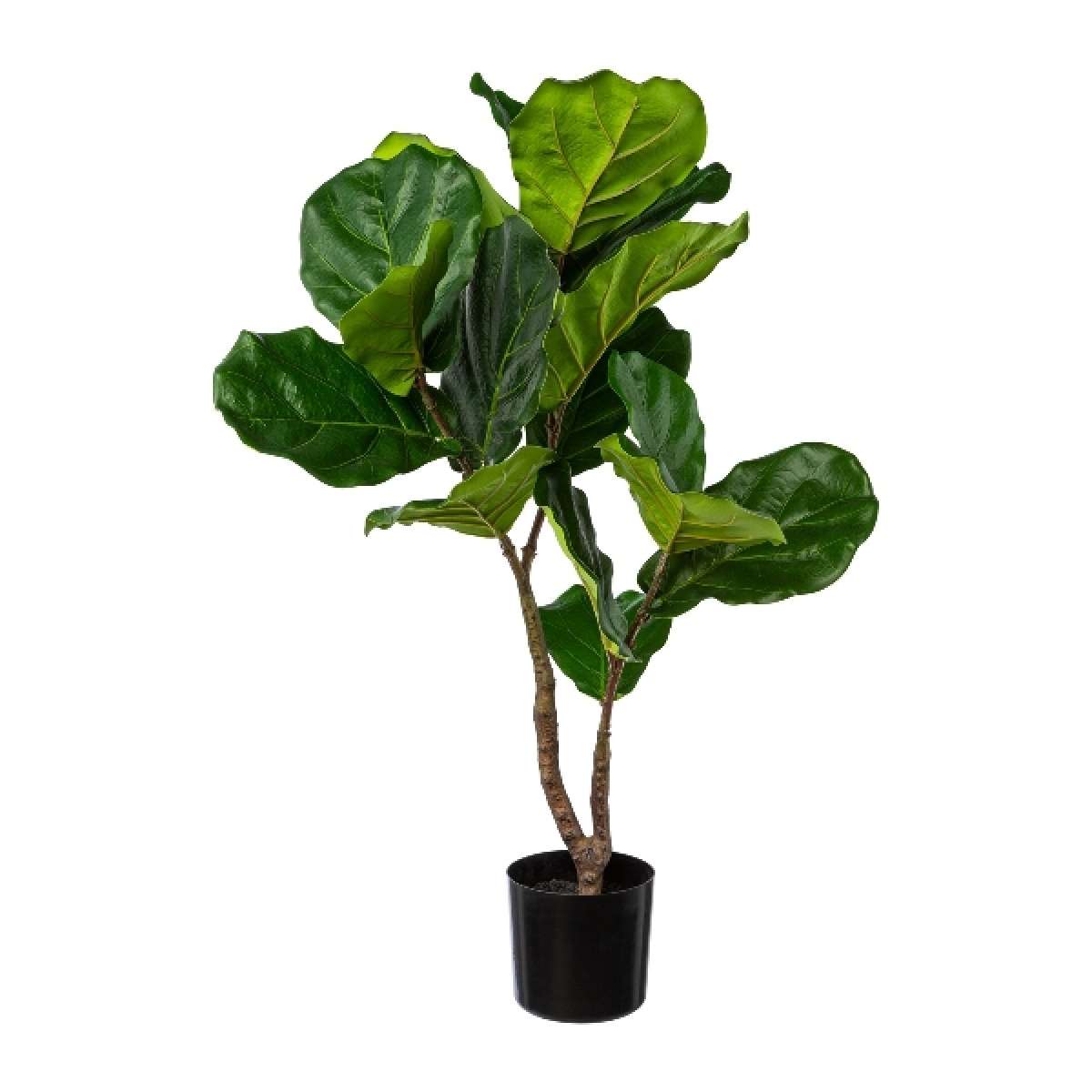 Immagine del prodotto Ficus Lyrata Artificiale con Vaso h 80 cm | Gasper since 1965