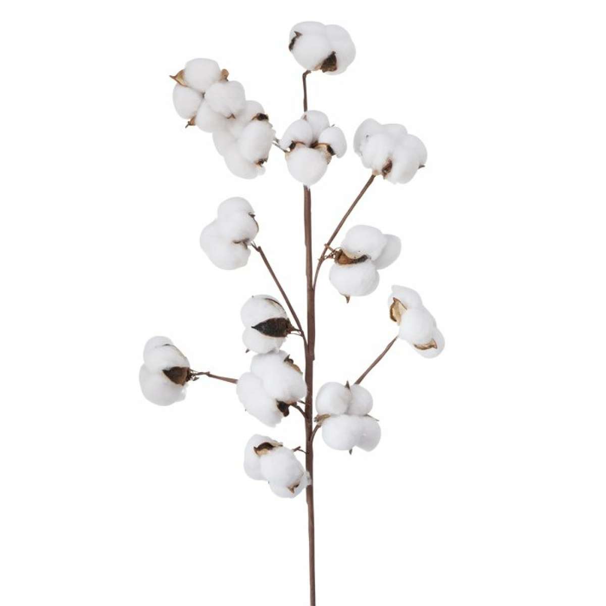 Ramo Cotone Artificiale h 68 cm | Boltze Immagine del prodotto Ramo Cotone Artificiale h 68 cm | Boltze