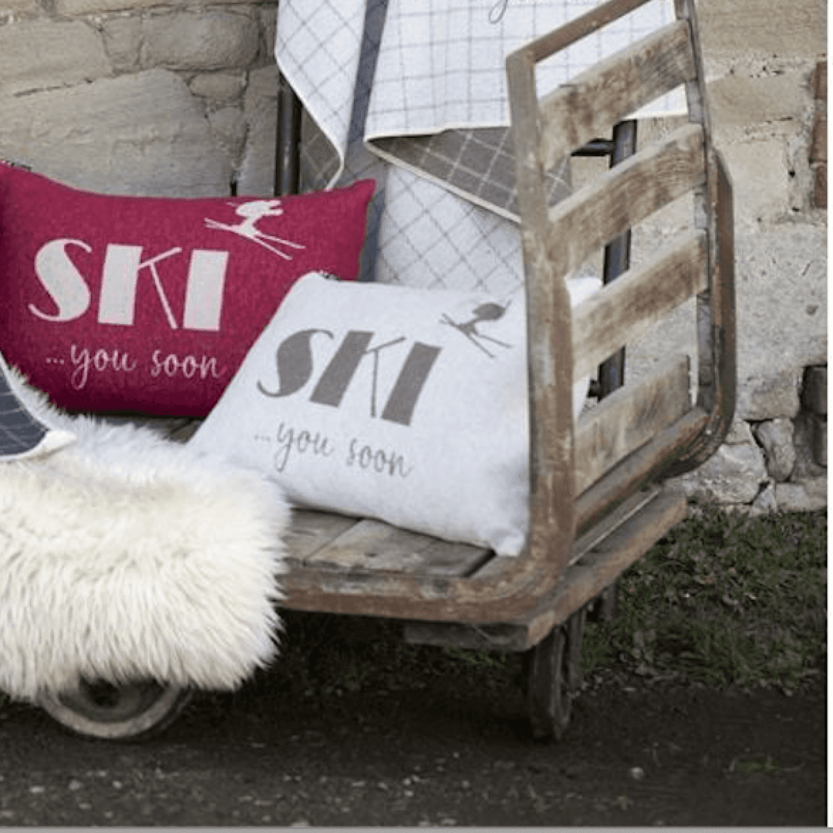 Federa Cuscino Divano in Cotone Ski You Soon 40x60 cm (3 Colori) | David Fussenegger Immagine del prodotto Federa Cuscino Divano in Cotone Ski You Soon 40x60 cm (3 Colori) | David Fussenegger