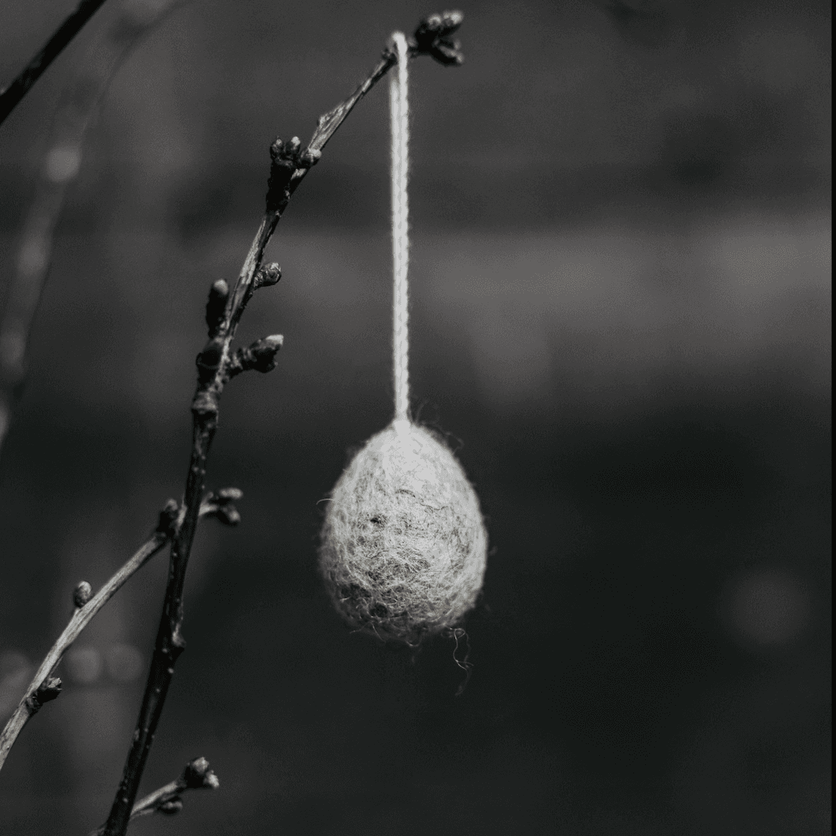 Ovetto Ullas da appendere piccolo - 5 colori | Storefactory Immagine del prodotto Ovetto Ullas da appendere piccolo - 5 colori | Storefactory