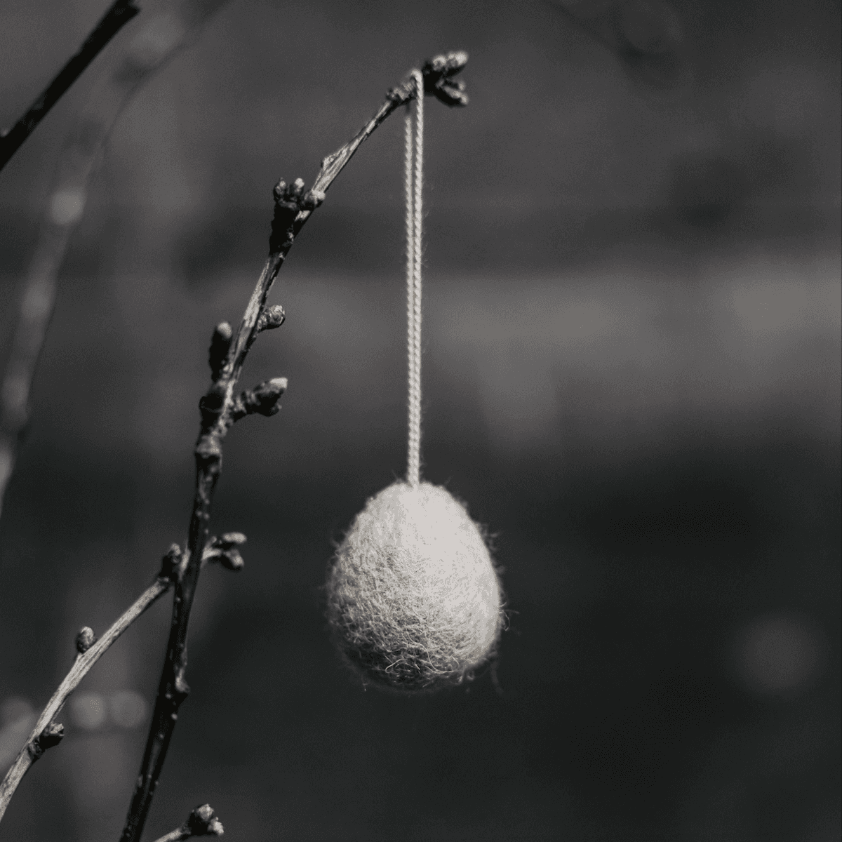 Ovetto Ullas da appendere piccolo - 5 colori | Storefactory Immagine del prodotto Ovetto Ullas da appendere piccolo - 5 colori | Storefactory