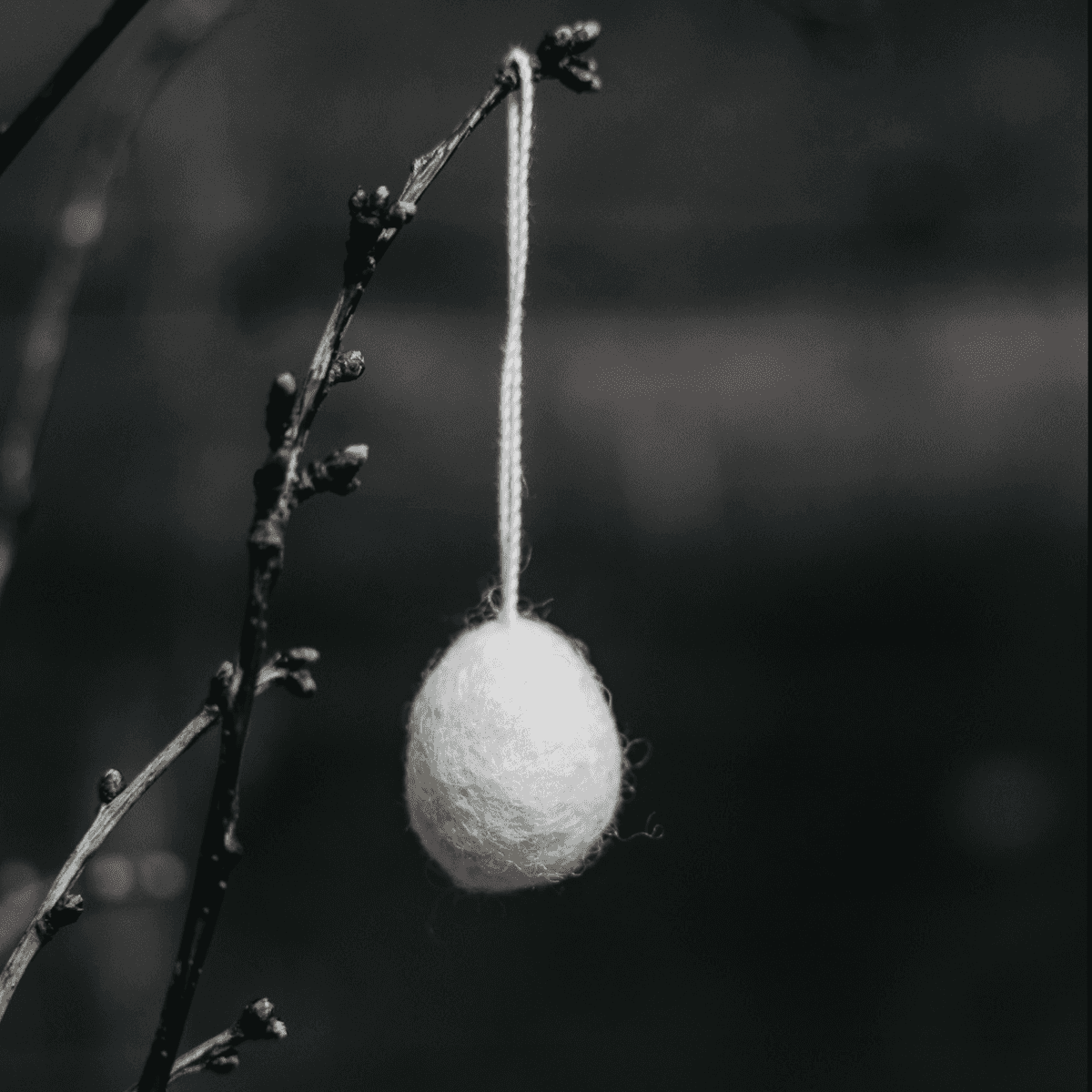 Ovetto Ullas da appendere piccolo - 5 colori | Storefactory Immagine del prodotto Ovetto Ullas da appendere piccolo - 5 colori | Storefactory