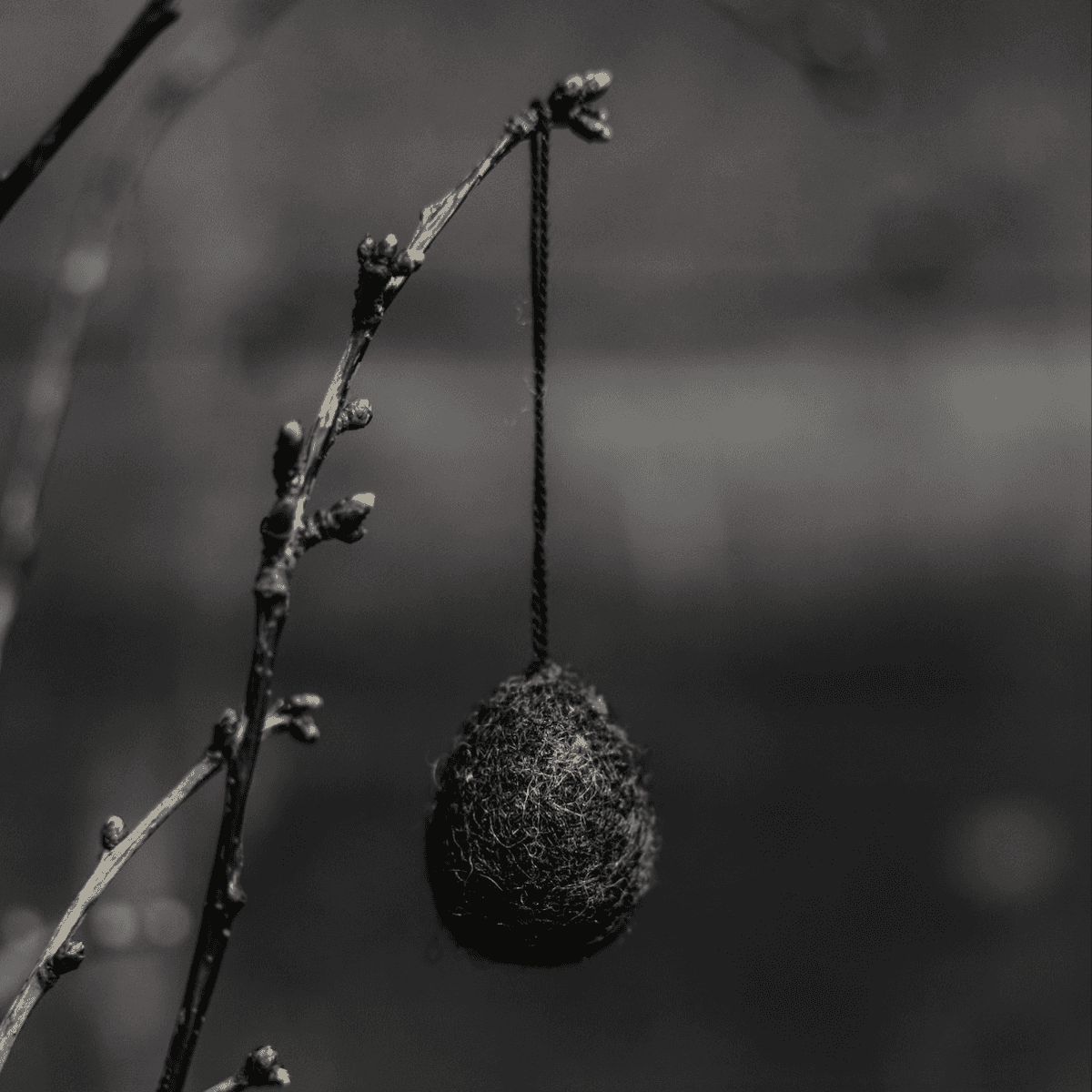 Ovetto Ullas da appendere piccolo - 5 colori | Storefactory Immagine del prodotto Ovetto Ullas da appendere piccolo - 5 colori | Storefactory