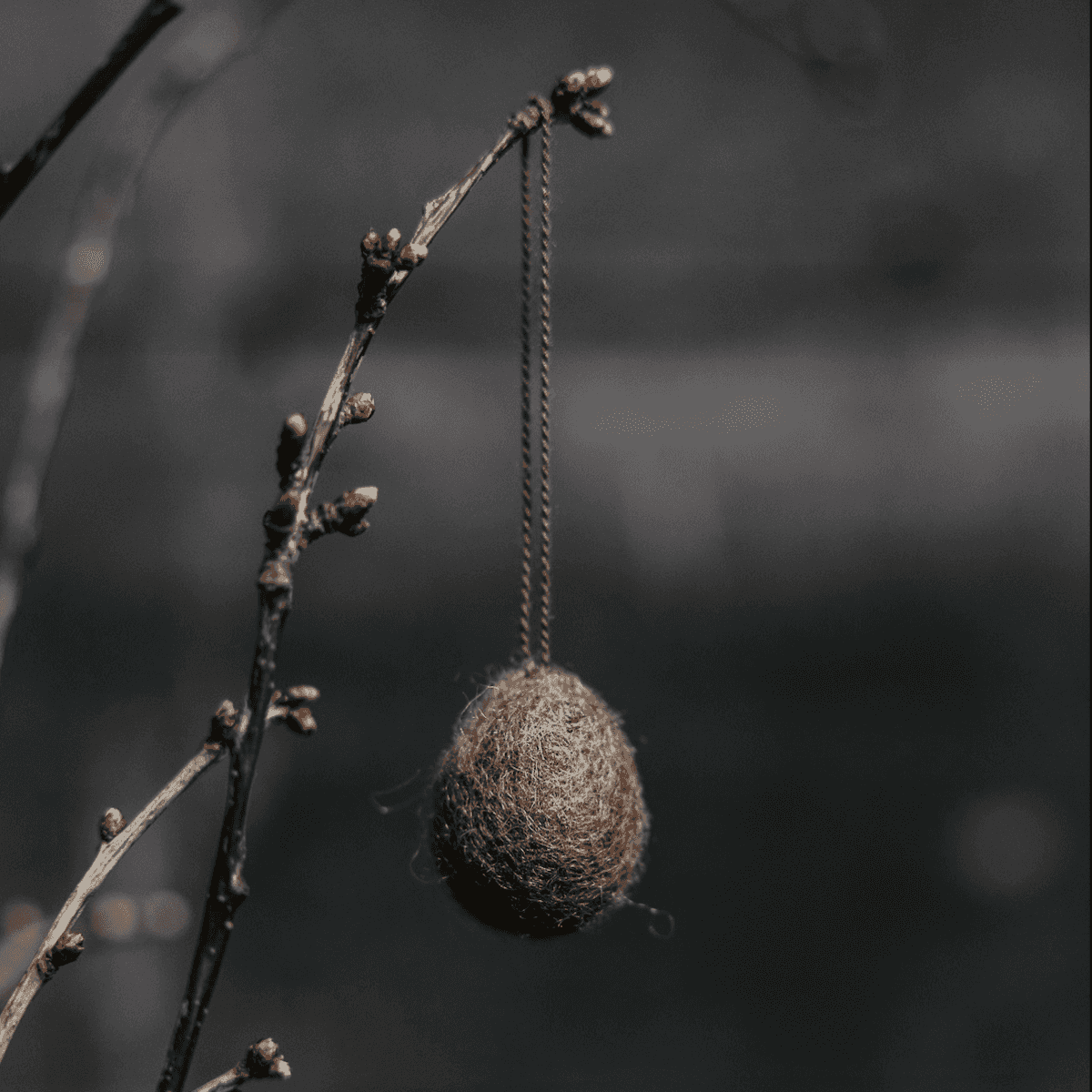 Ovetto Ullas da appendere piccolo - 5 colori | Storefactory Immagine del prodotto Ovetto Ullas da appendere piccolo - 5 colori | Storefactory