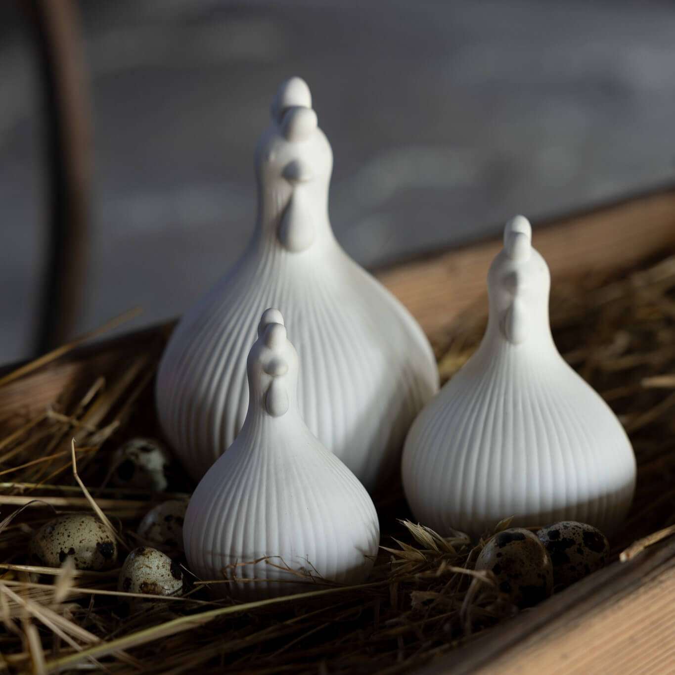 Gallina Kerstin in Ceramica opaca Bianca Immagine del prodotto del mese:Gallina Kerstin in Ceramica opaca Bianca