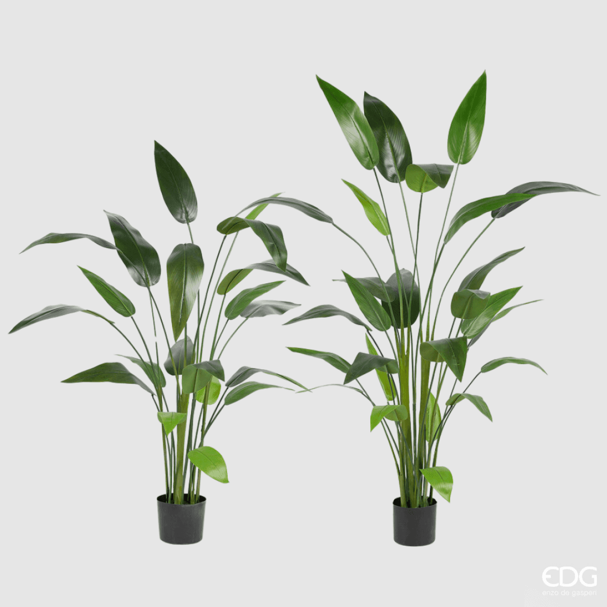 BANANO PIANTA ARTIFICIALE GRANDE 150 CM – My Garden - Foto 4